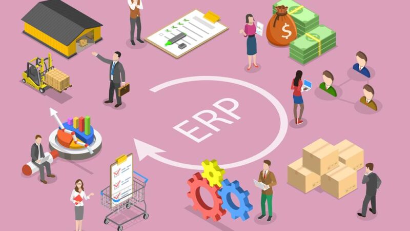 ERP Software einführen – die häufigsten Probleme aus Nutzersicht